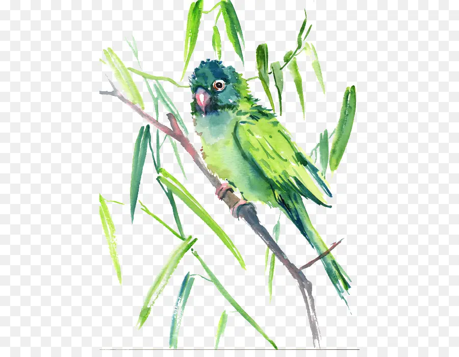 Loro Verde En Rama，Loro PNG