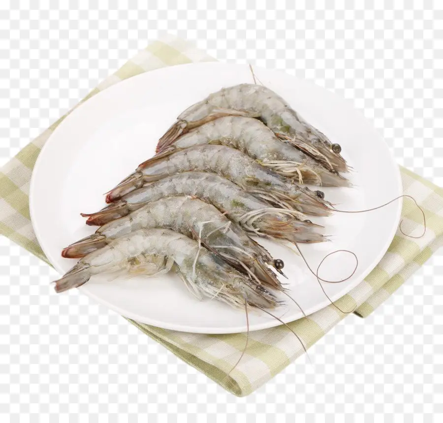 Pandalus Borealis，Arroz Frito PNG