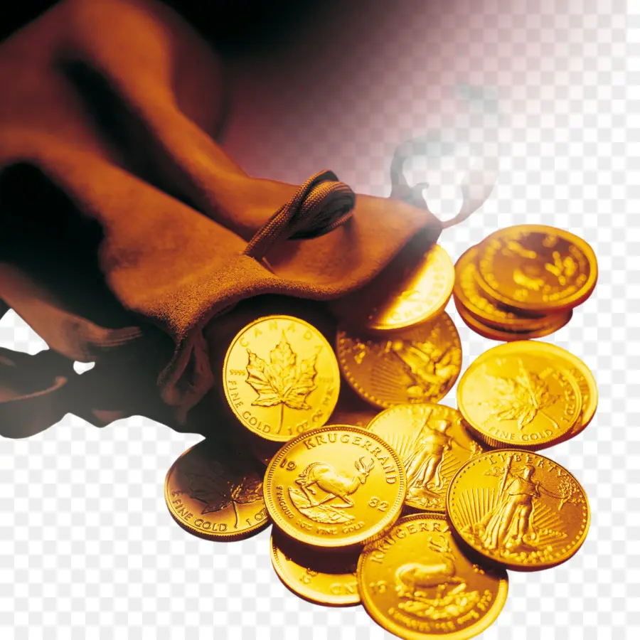 Monedas De Oro，Bolsa PNG