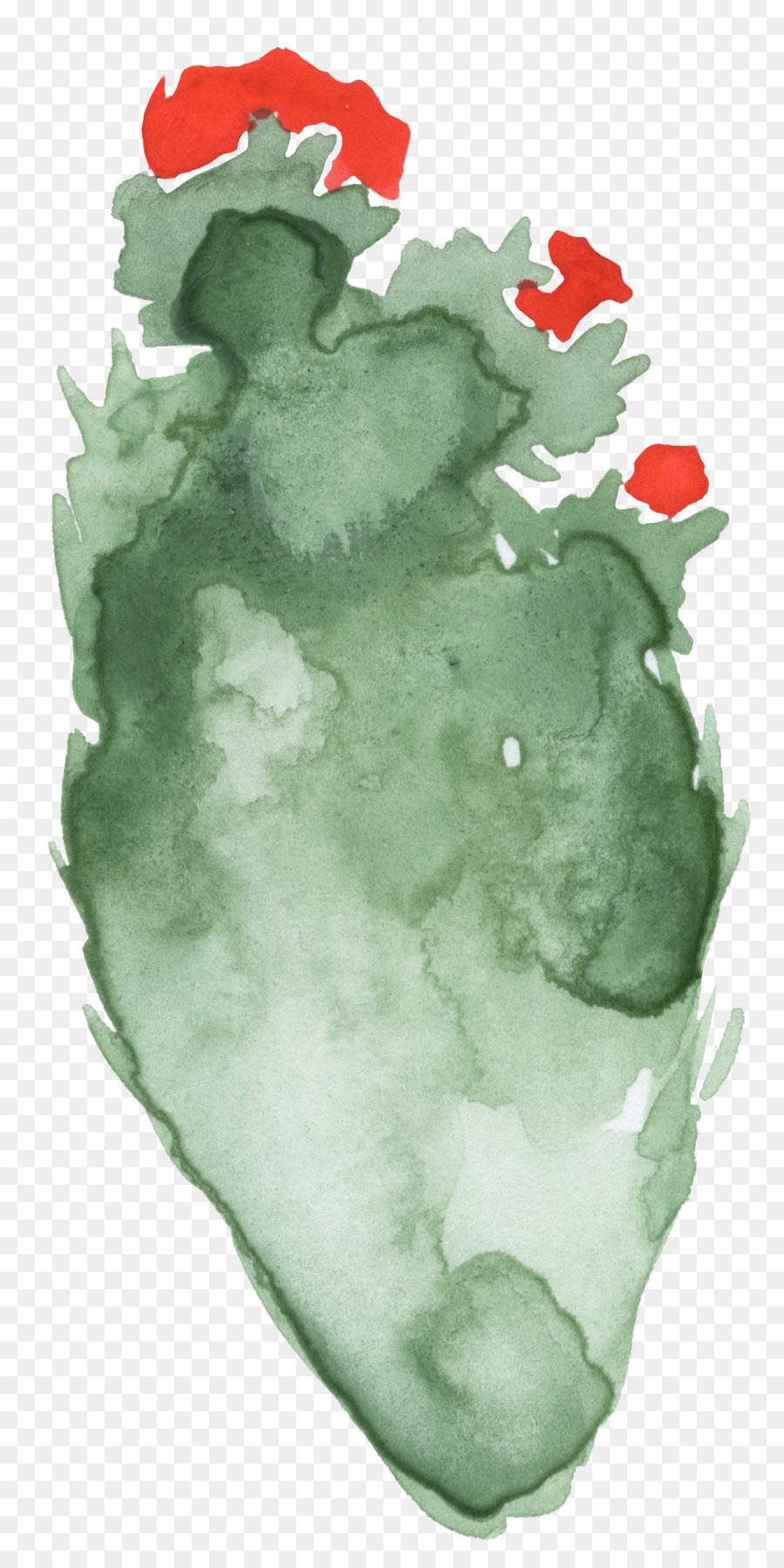 Pintura A La Acuarela，Cactaceae PNG