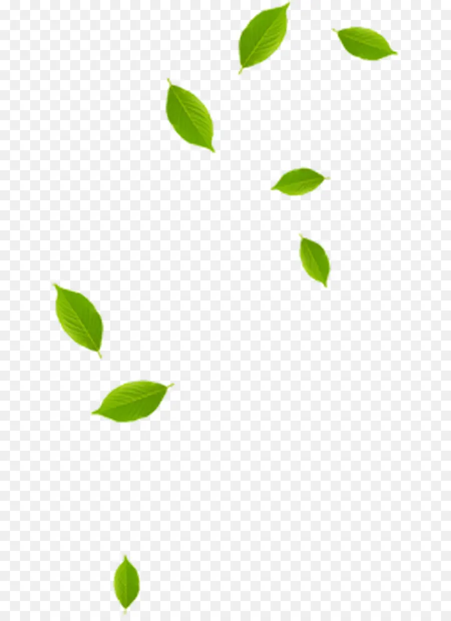 Hoja，Verde PNG