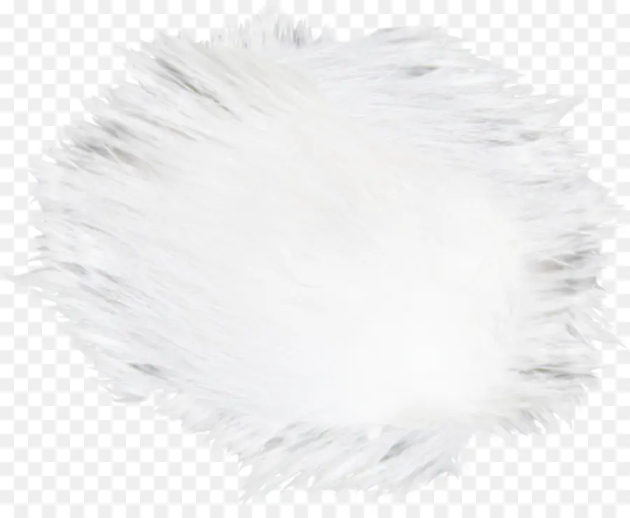 Blanco，Cabello PNG