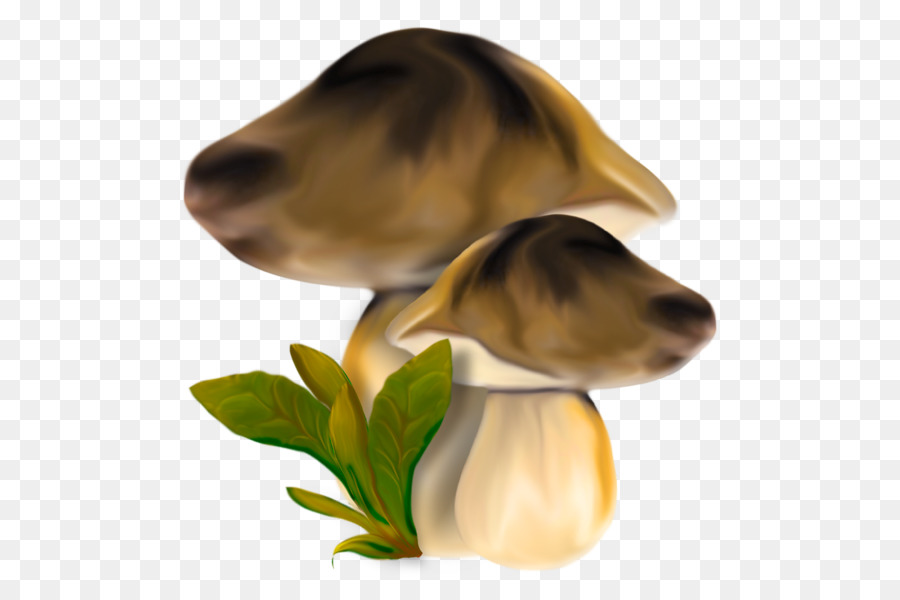 Hongos，Naturaleza PNG