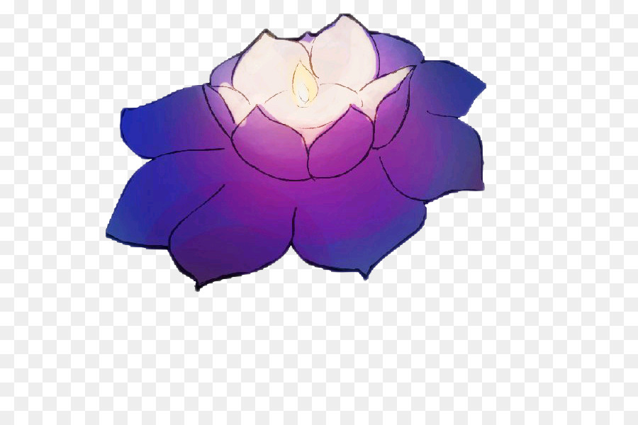 Púrpura，Nelumbo Nucifera PNG