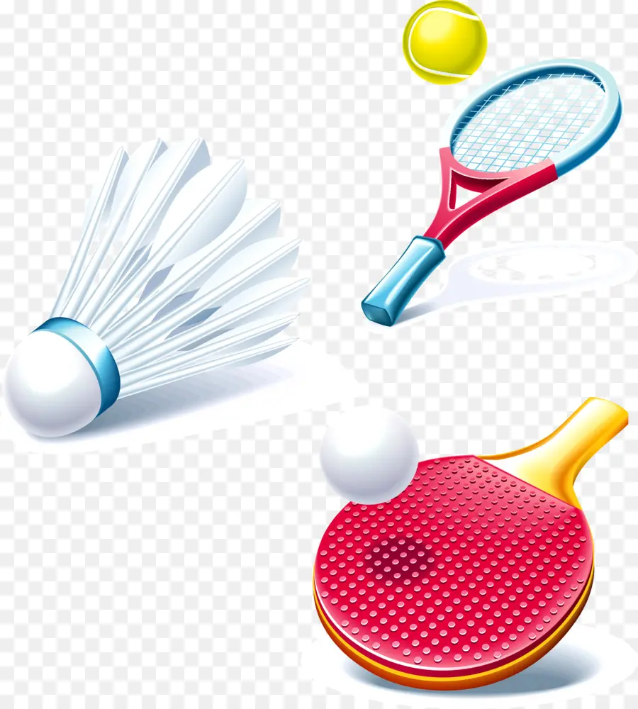 Equipamiento Deportivo，Raqueta PNG