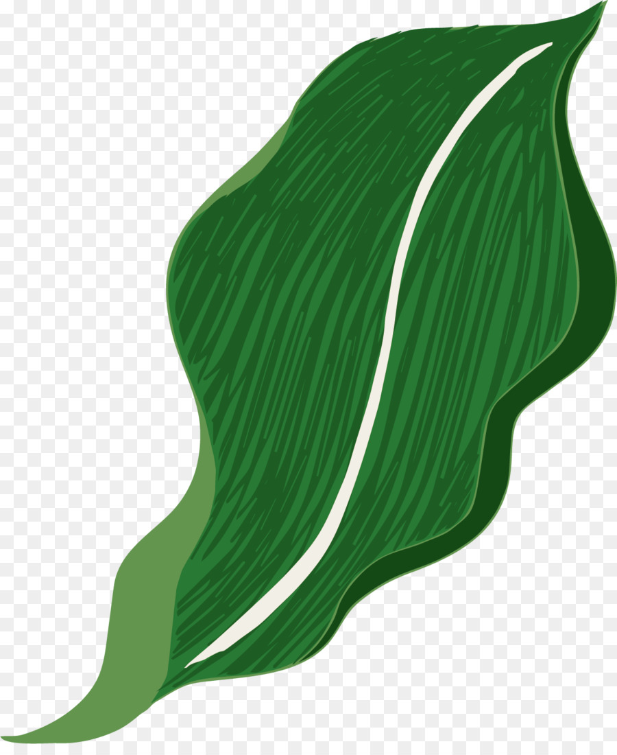 Hoja，Verde PNG