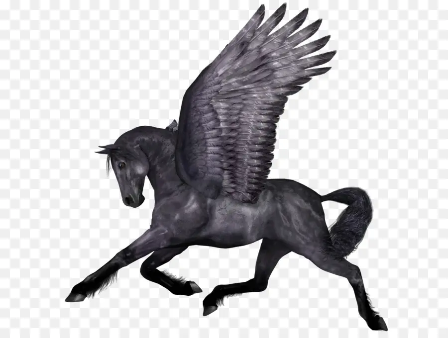 Caballo，Pegaso PNG