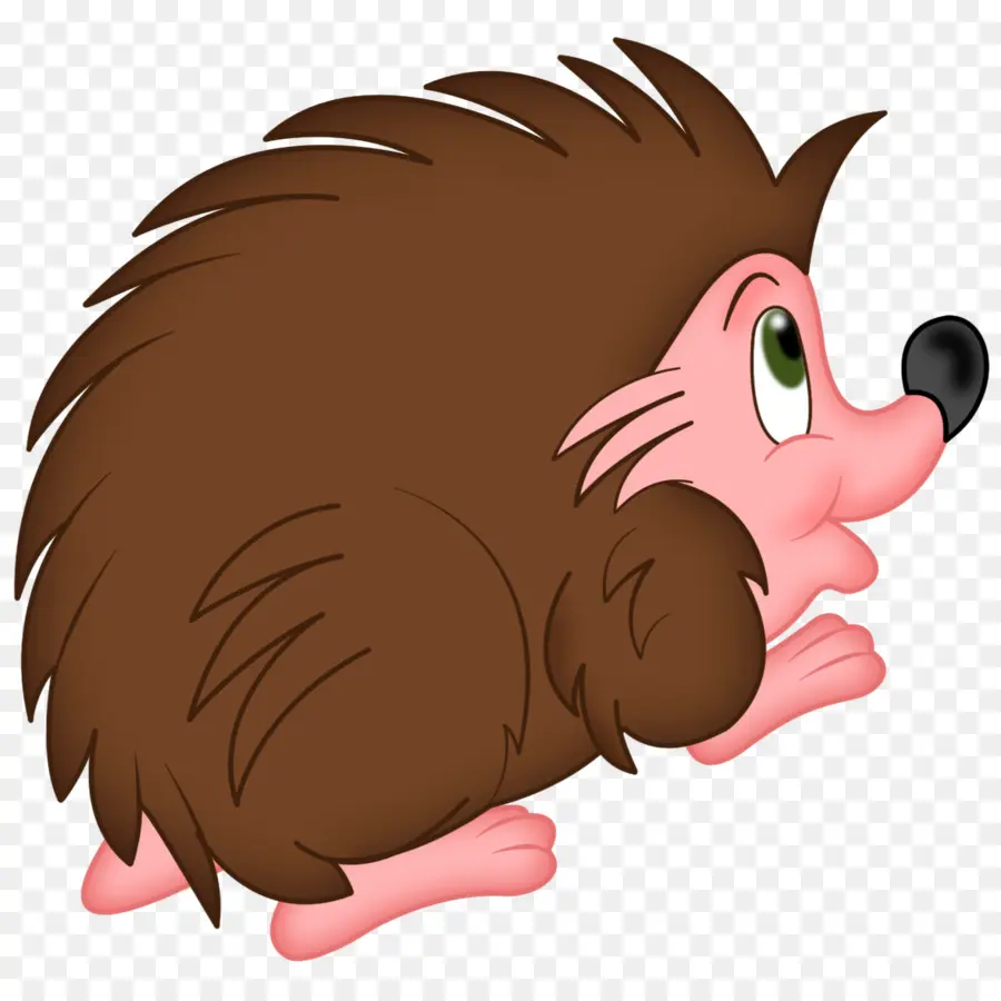 Erizo，Baby Hedgehogs PNG