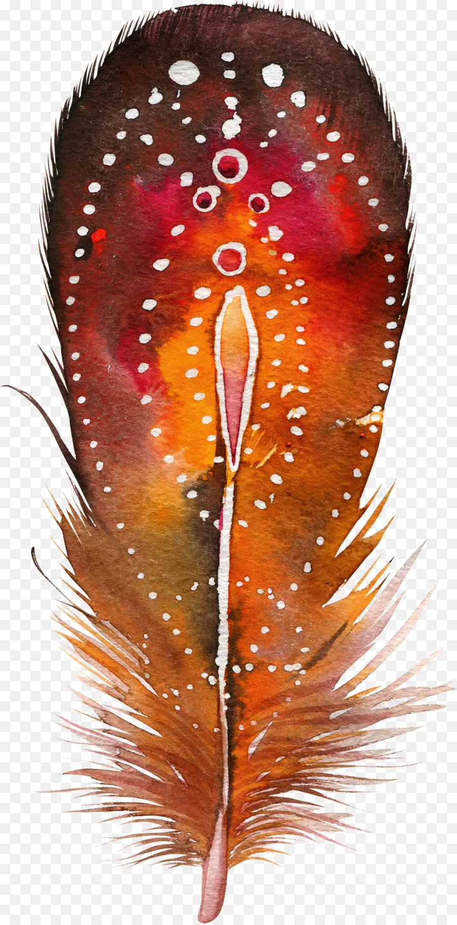 Pluma Decorativa，Arte PNG