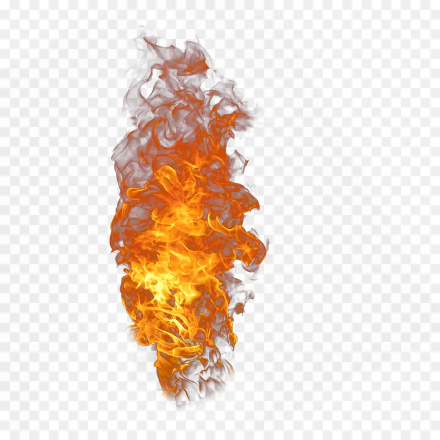 Llama，Fuego PNG