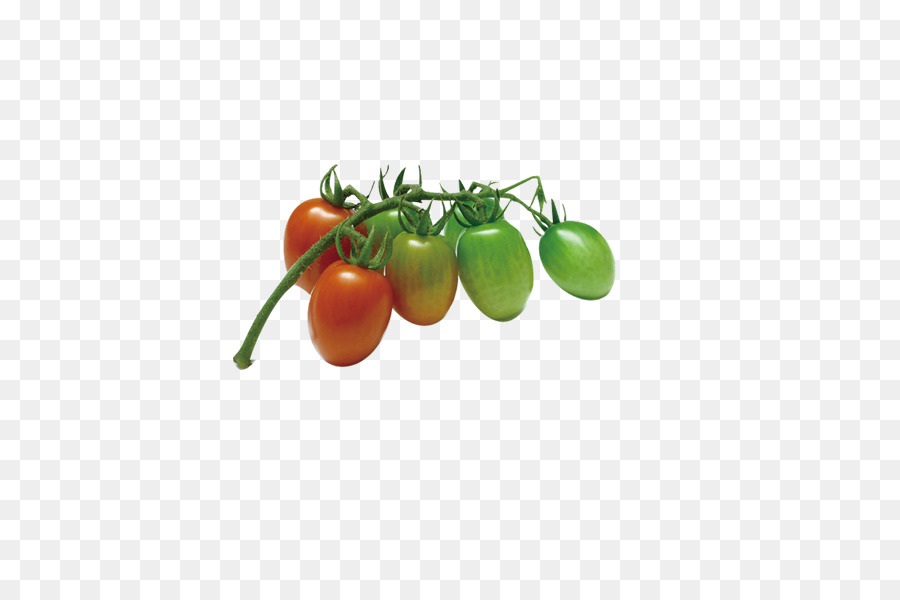 Tomate Cherry，Vegetal PNG