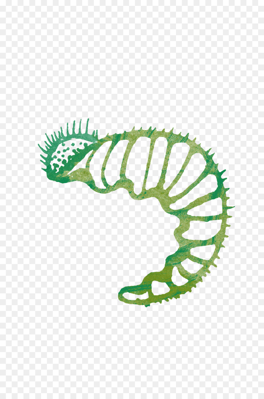 Caterpillar，Descargar PNG