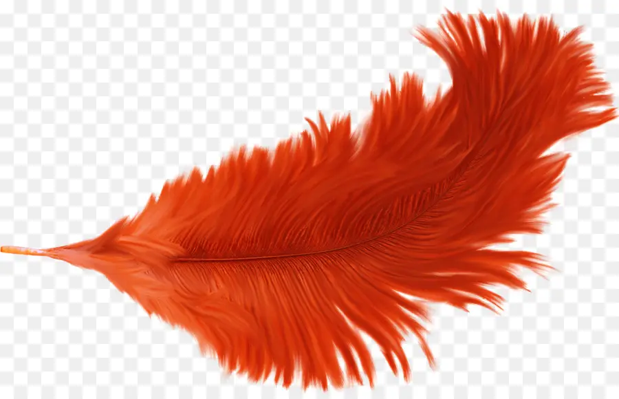 Pluma Roja，Pluma PNG