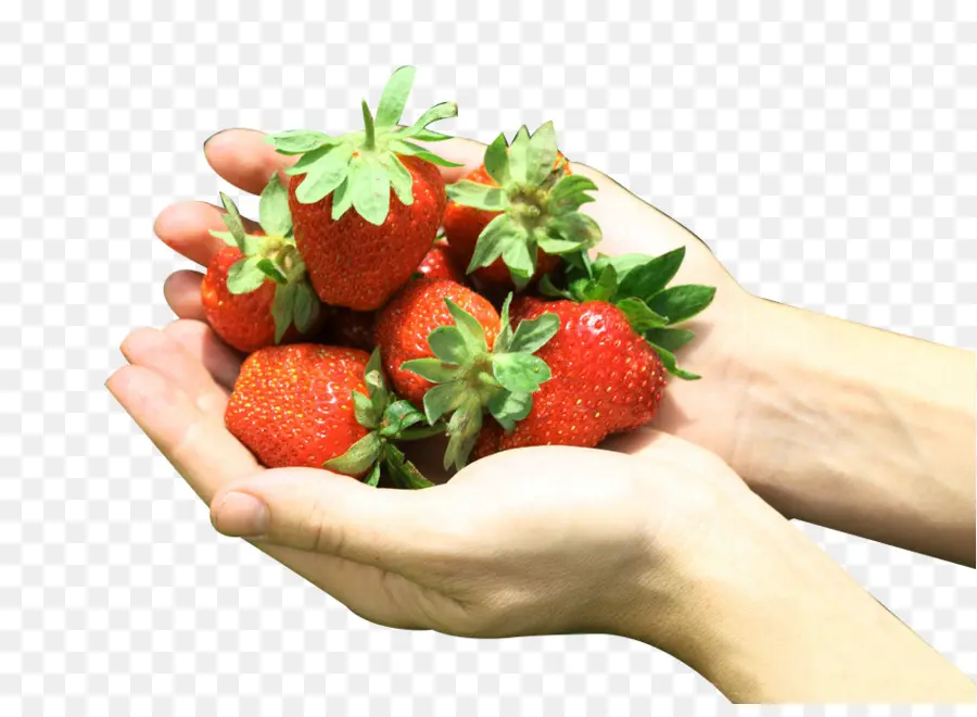 Fresas，Manos PNG