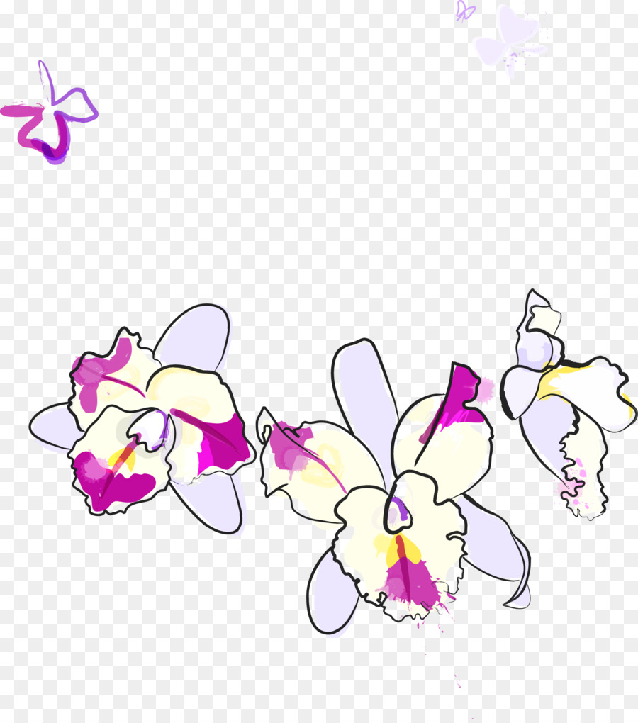 Phalaenopsis Violacea，Flor PNG