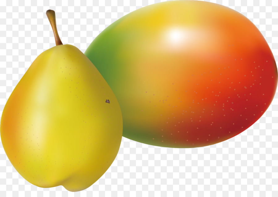 Pyrus Nivalis，Descargar PNG