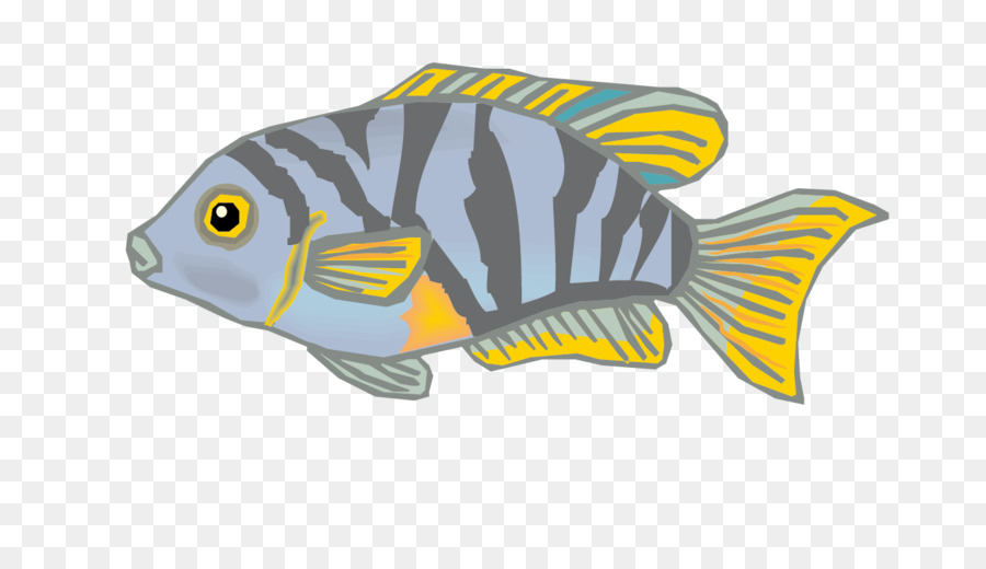 Carassius Auratus，Descargar PNG