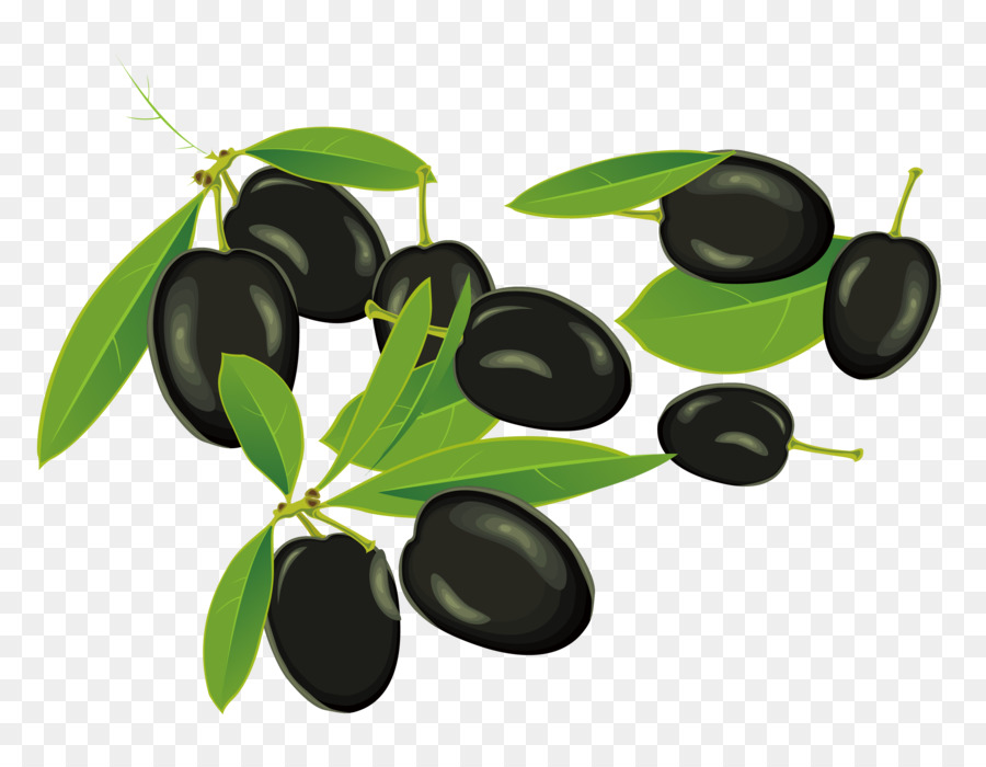 Fruta，Aceituna PNG