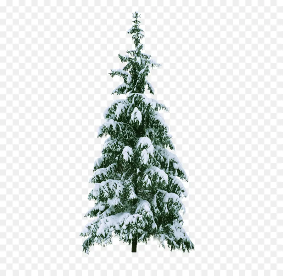 árbol De Año Nuevo，árbol De Navidad PNG
