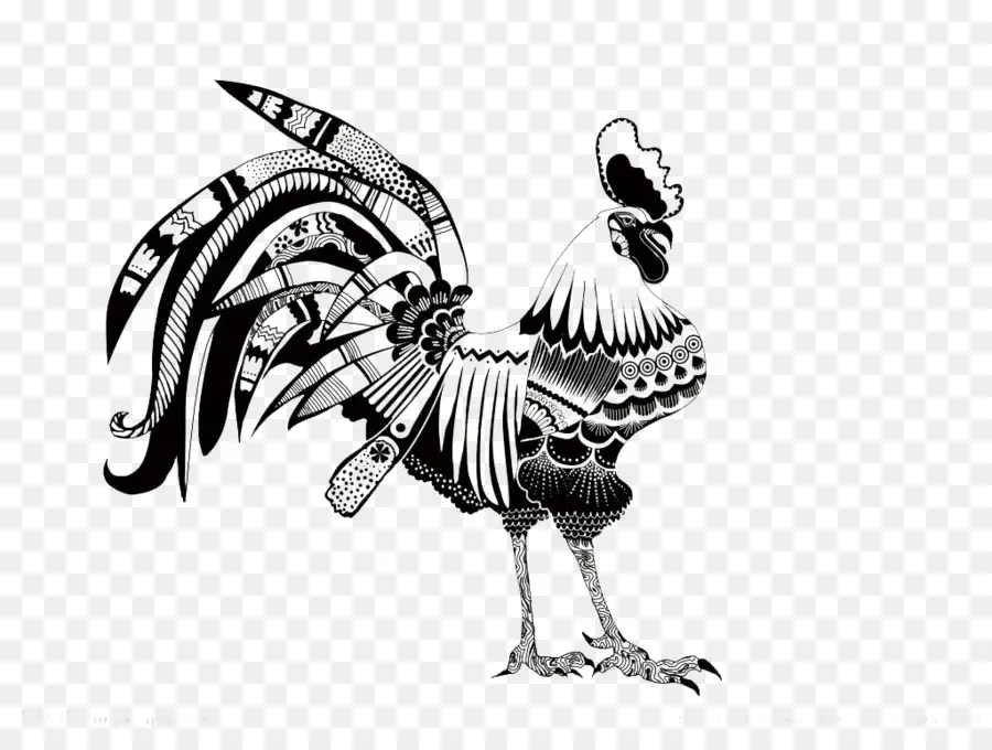 Gallo Decorativo，Plumas PNG