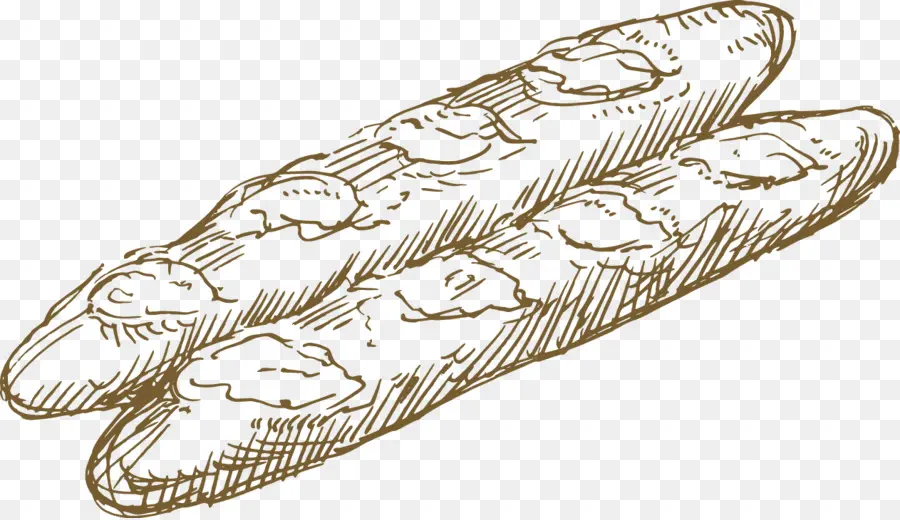 Baguette，Panadería PNG