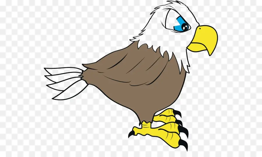 águila Calva，De Dibujos Animados PNG