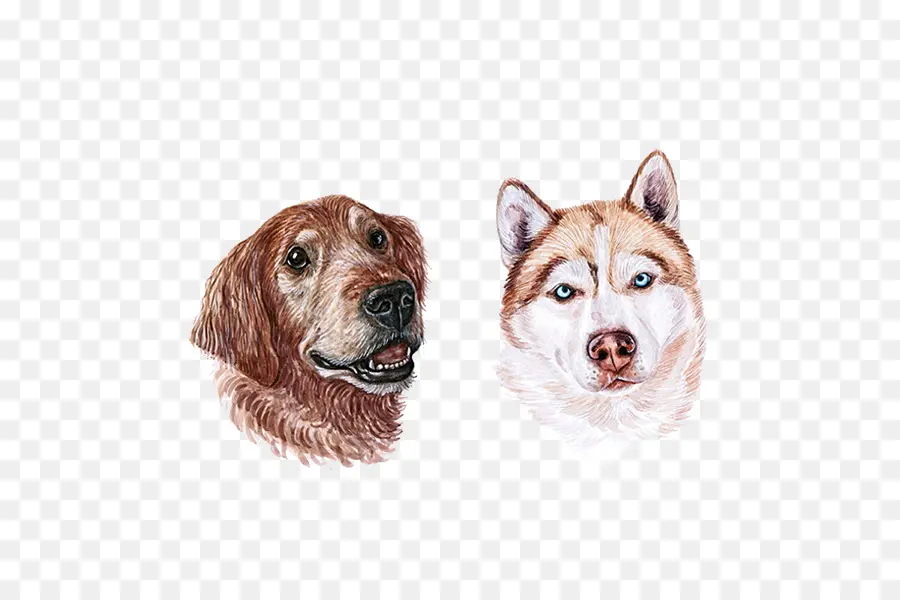 Retratos De Perros，Mascotas PNG