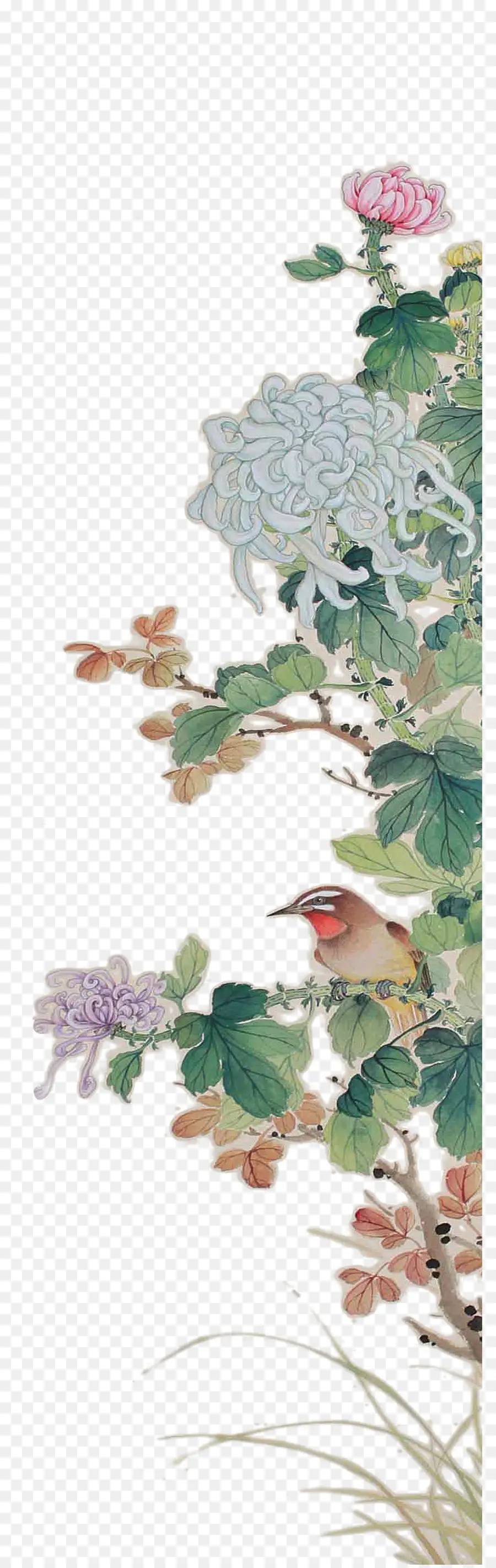 Pájaro Y Flores，Naturaleza PNG