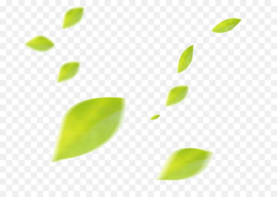 Hoja，Dibujo PNG