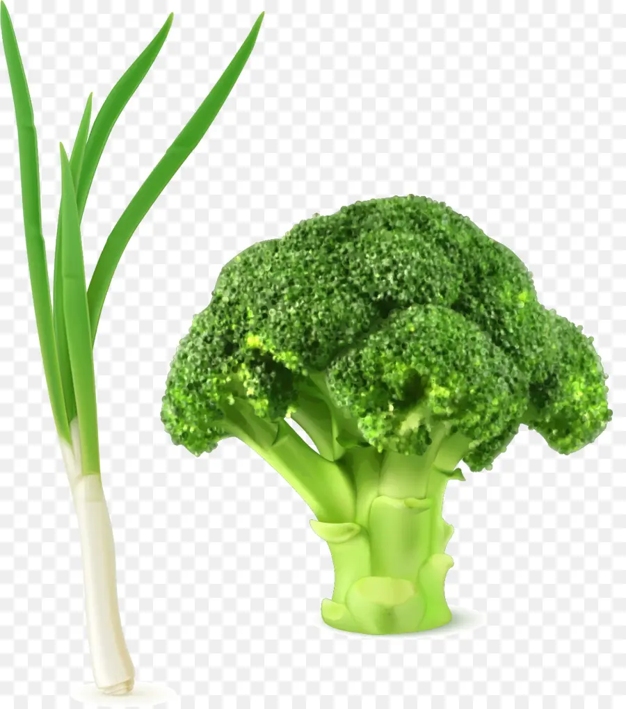 Brócoli，Ensalada De Repollo PNG