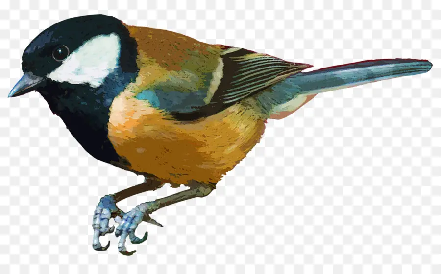 Pájaro，Gorrión PNG