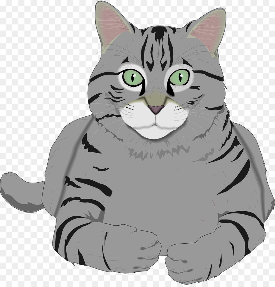 Gato，Mascota PNG