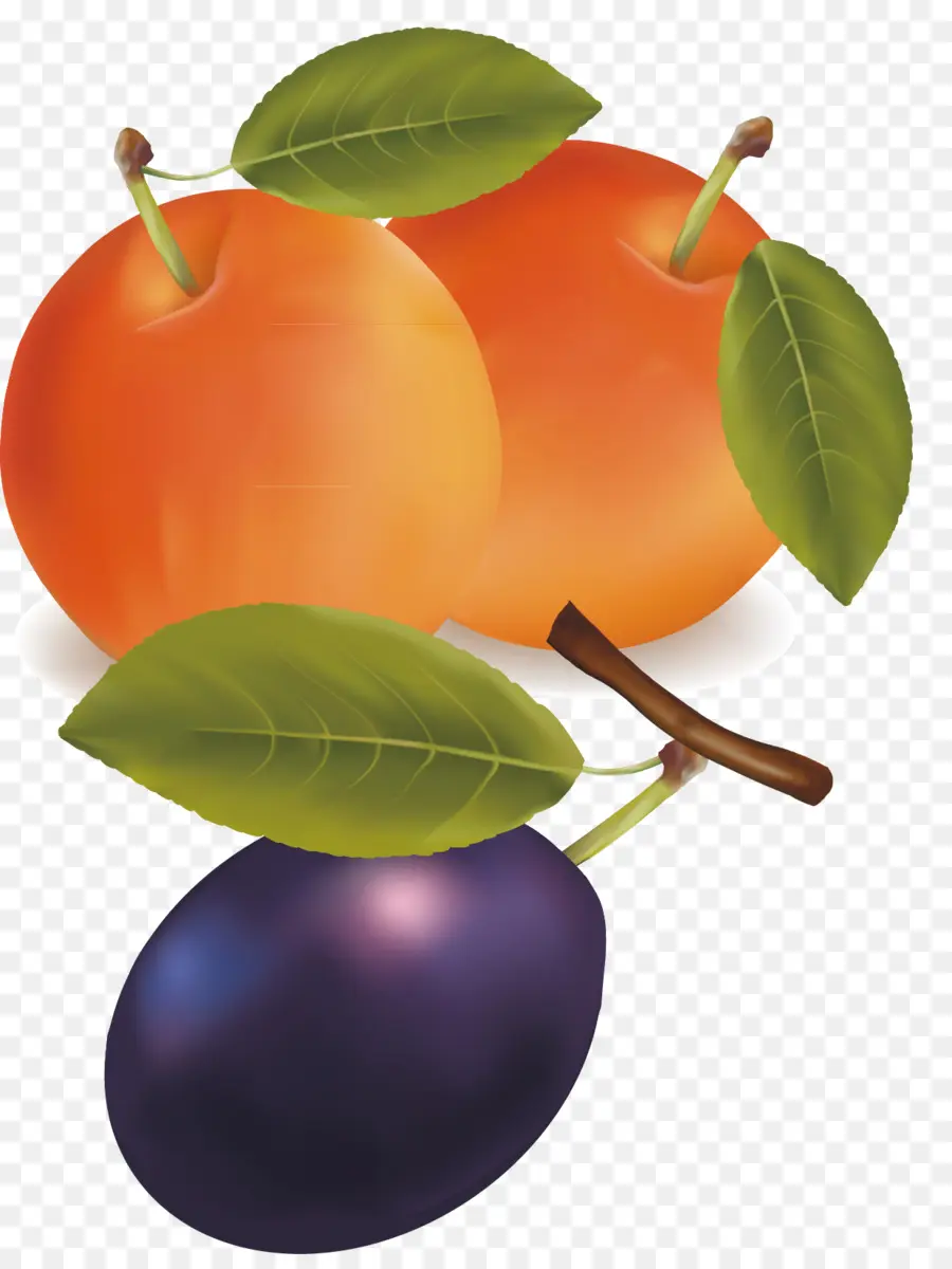 Frutas，Ciruela PNG