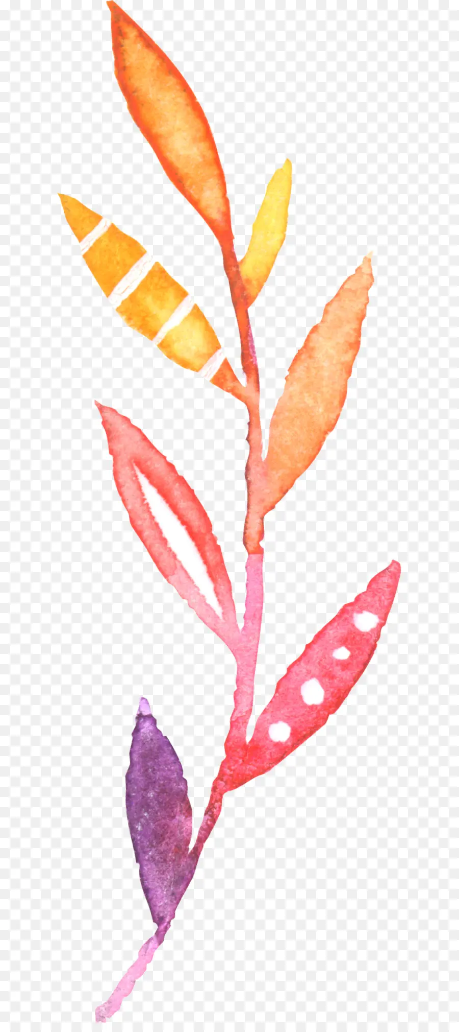 Planta Colorida，Hojas PNG