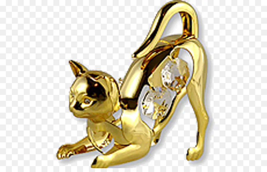 Gato Dorado，Gato PNG