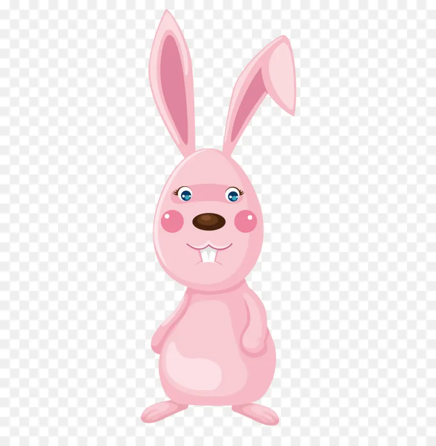 Hare，Conejo PNG