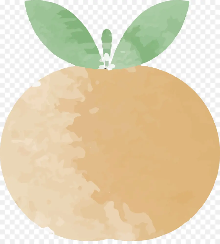 Naranja，Hojas PNG