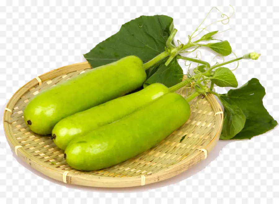 Calabazas Verdes，Cesta PNG