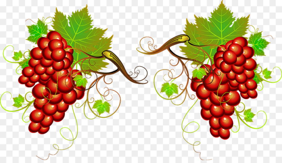 Uvas，Enredadera PNG