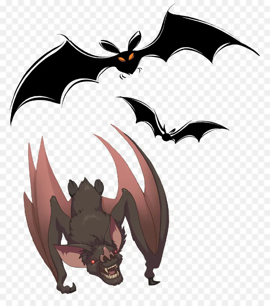 Bat，Desmodus Draculae PNG
