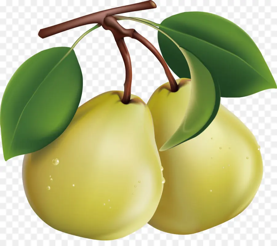 Pera Asiática，La Fruta PNG