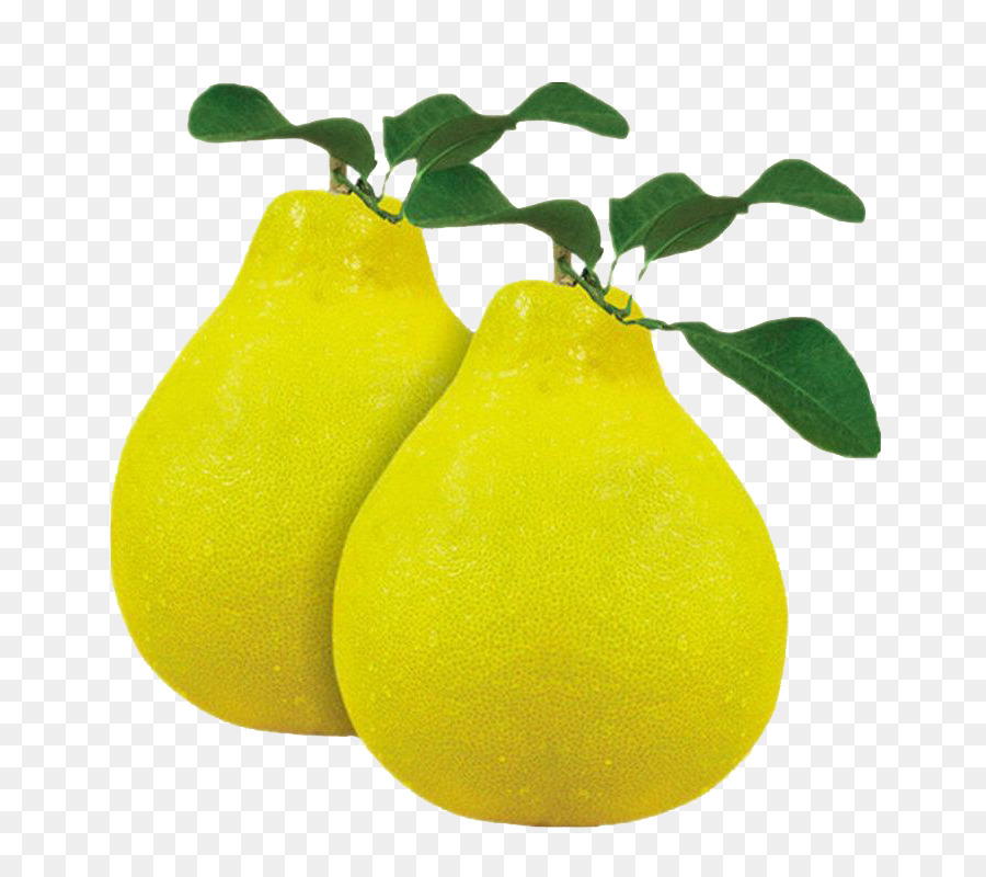 Citron，El Pomelo PNG