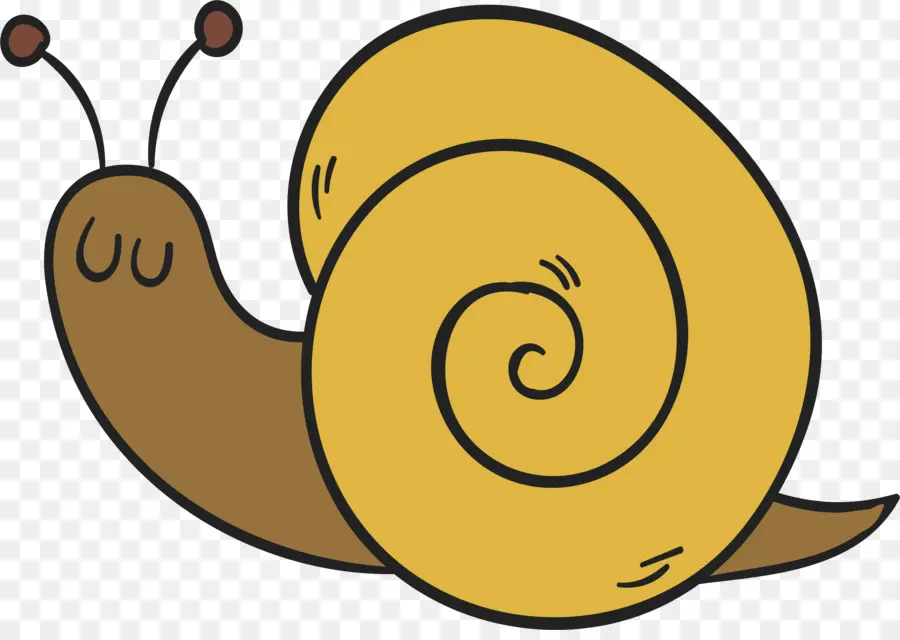 Caracol，Dibujo PNG