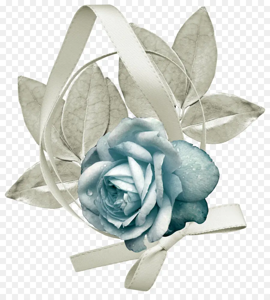 Rosa，Flor PNG