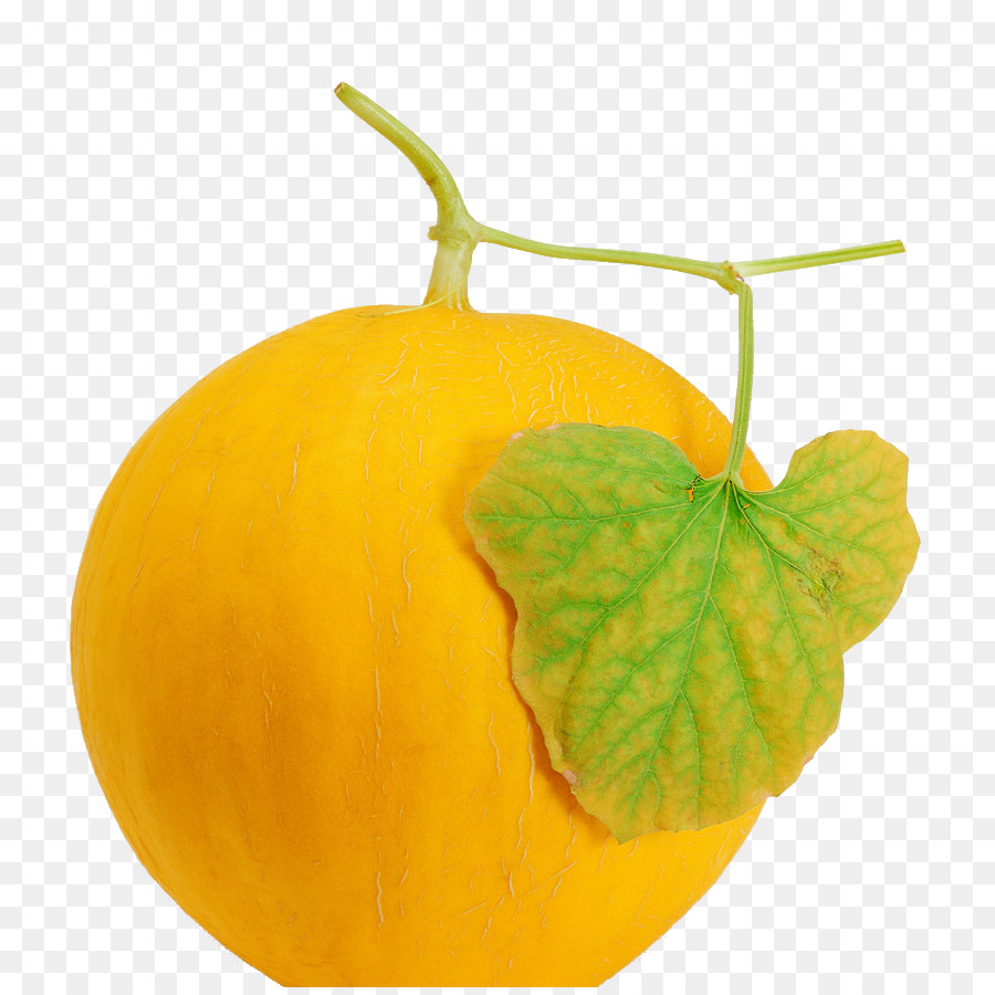 Melón，Melón Hami PNG