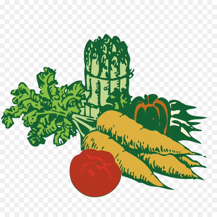 Vegetal，Jardín PNG