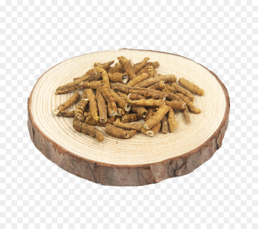 Insectos Secos，Comestible PNG