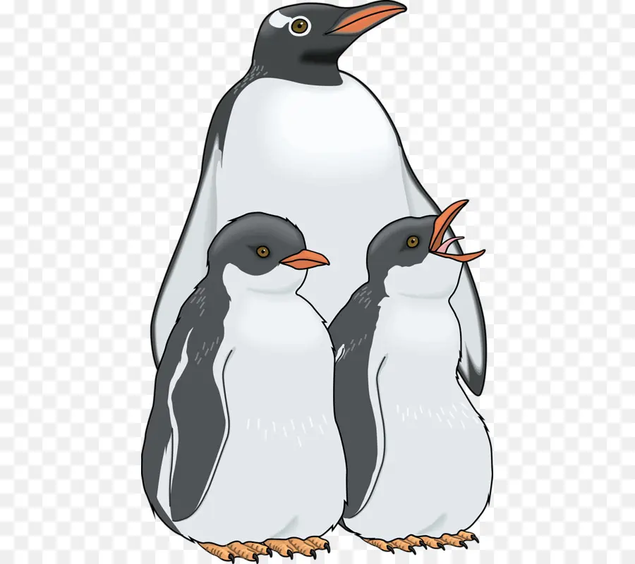 Penguin，Royaltyfree PNG