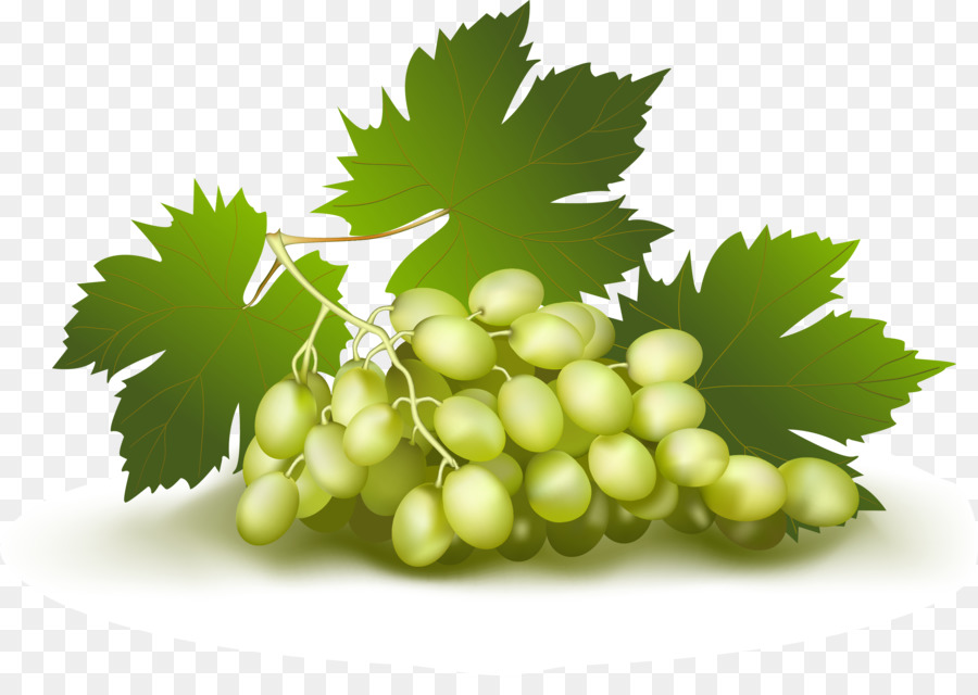 Uvas Verdes，Hoja PNG