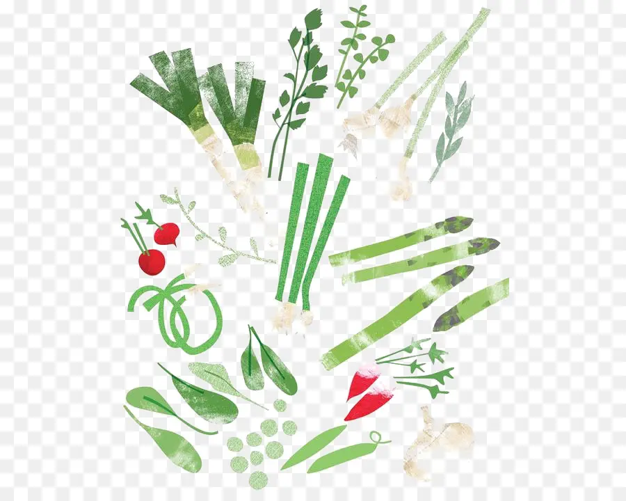 Verduras，Saludable PNG